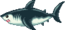 Grand requin blanc