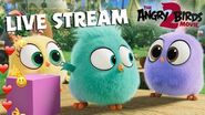 O filme Angry Birds 2