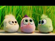 Le film Angry Birds 2