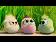 O filme Angry Birds 2