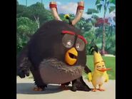 Le film Angry Birds 2