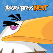 AngryBirdsNest