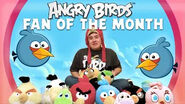 Fan d'Angry Birds du mois