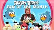 Fã de Angry Birds do mês