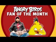 Fanático del mes de Angry Birds