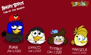 Fanático del mes de Angry Birds