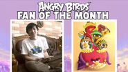 Fan d'Angry Birds du mois