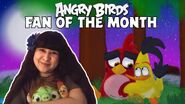 Fan d'Angry Birds du mois