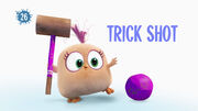 Liste des épisodes d'Angry Birds Blues