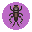 Common cricket