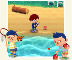 Animal Crossing: Camp de poche