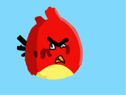 Doodle des oiseaux en colère.