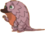 Pangolin