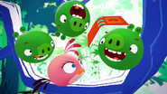 Trailer do Angry Birds Stella Comic-Con