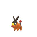 Tepig