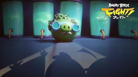 Angry Birds lucha!