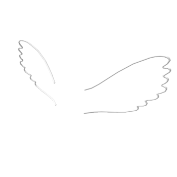 Doodle alas de ángel (blanco)