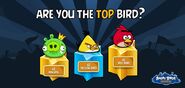 Tournoi hebdomadaire (Angry Birds Friends)
