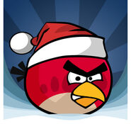 Angry Birds Noël