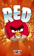 Angry Birds Toons