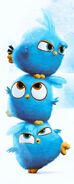 Angry Birds Blues