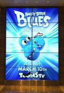 Angry Birds Blues