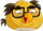 Danny Devito Bird