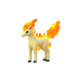 Rapidash