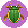 Swimming Beetle
