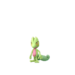 Grovyle