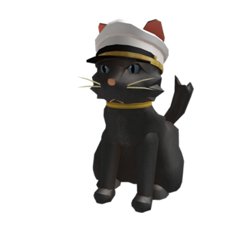 Capitaine Kitty
