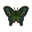 Papillon paon
