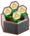 Plantas (Pocket Camp)