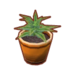 Plantes (Pocket Camp)