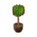 Plantas (Pocket Camp)