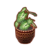 Plantes (Pocket Camp)