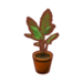 Plantas (Pocket Camp)