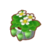 Plantas (Pocket Camp)