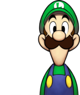 Mario & Luigi : Les Cinq Furieux