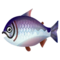 Pescado (Campamento de bolsillo)