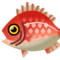 Peixe (Pocket Camp)