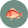 pargo