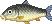 Pescado (mundo salvaje)