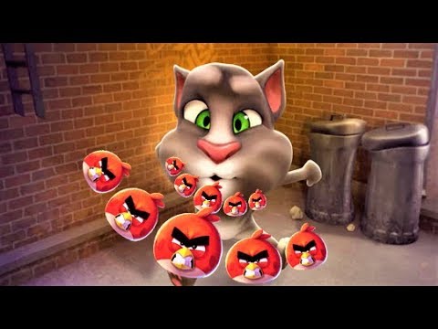 Angry Birds Talking Tom et ses amis