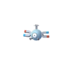 magneton