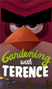 Jardinagem com Terence