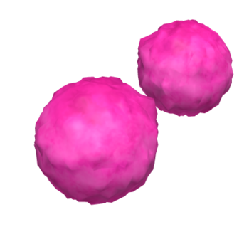 Pompons cor-de-rosa