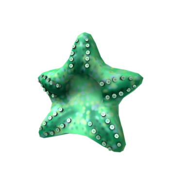 Cara boba de estrela do mar