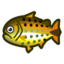 Guia: lista de peixes de setembro (Novos Horizontes)